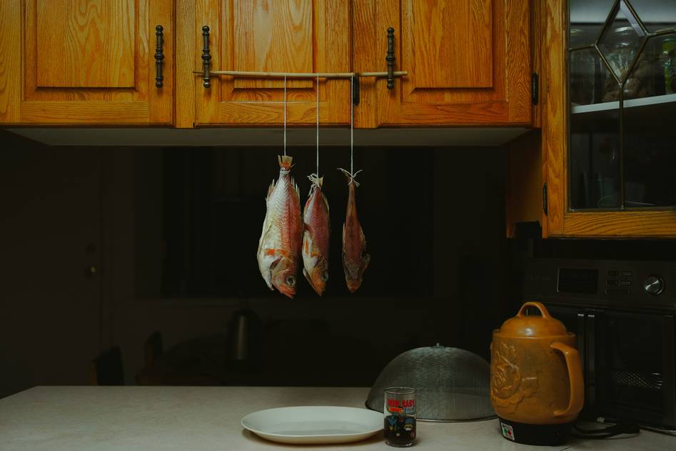 Homepage for Home Improvement Tools & Hardware rotisserie ovens